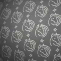 Schwarz print