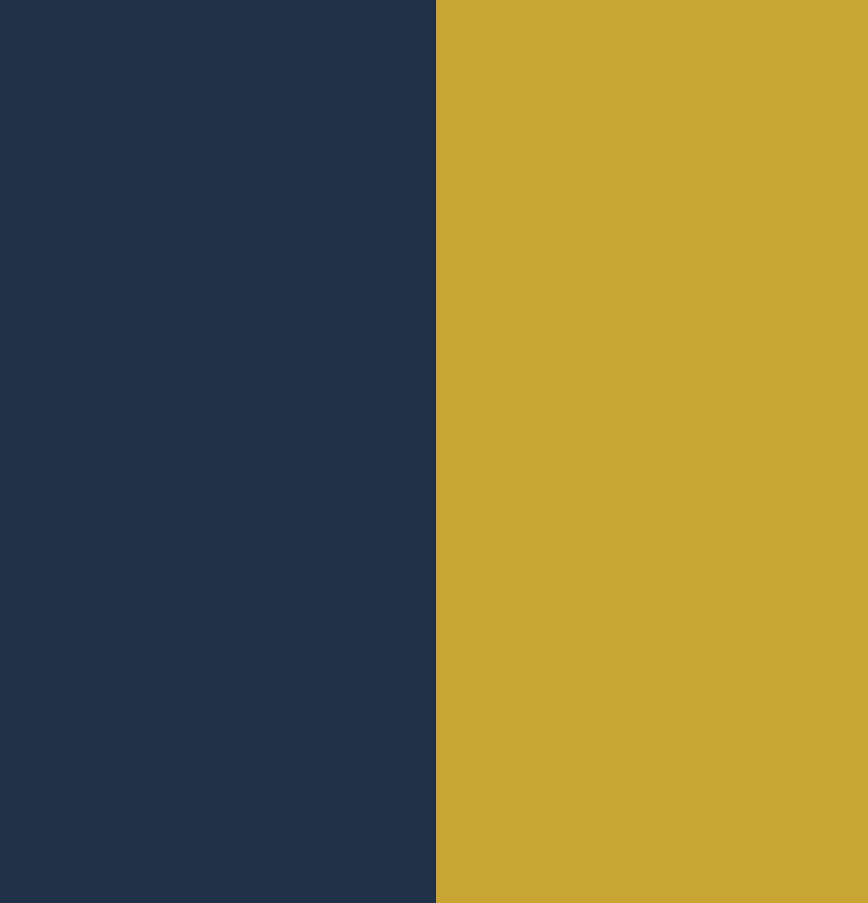 dunkelblau/gold