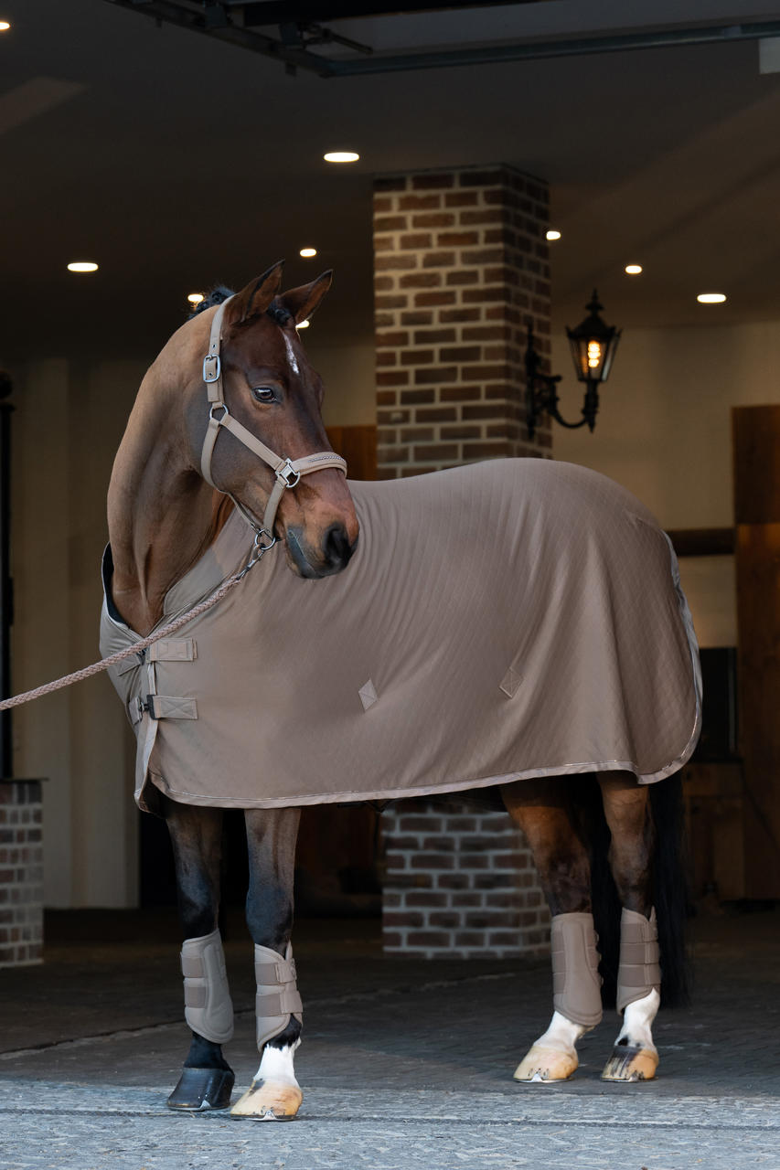 Eskadron Abschwitzdecke AERIAL JERSEY
