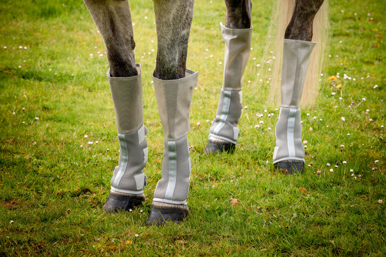 Horseware Scarponcino Rambo Tech-Fit