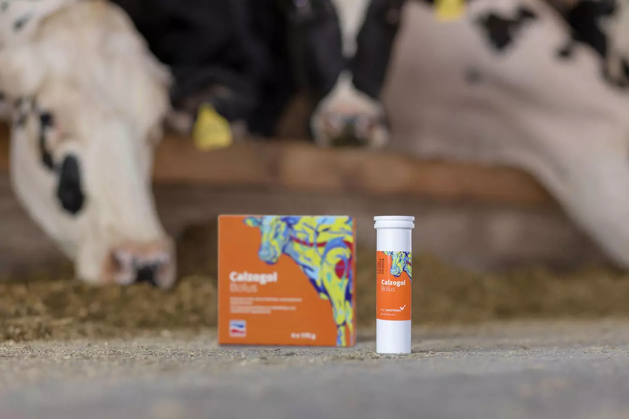 Agrochemica Calzogol Bolus 4 x 175 g (Box)