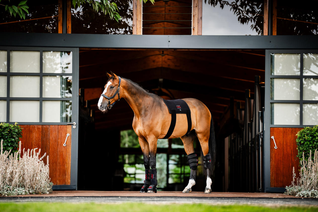 Horseware Protège-Jarret de Thérapie par Lumière Rouge LED