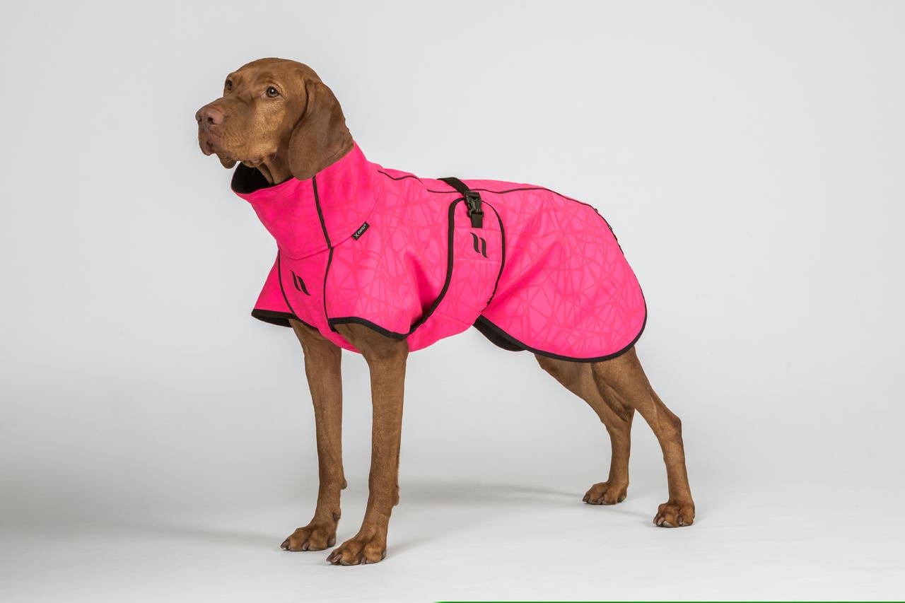 Back on Track BARK Softshell-Hundemantel, Hightail