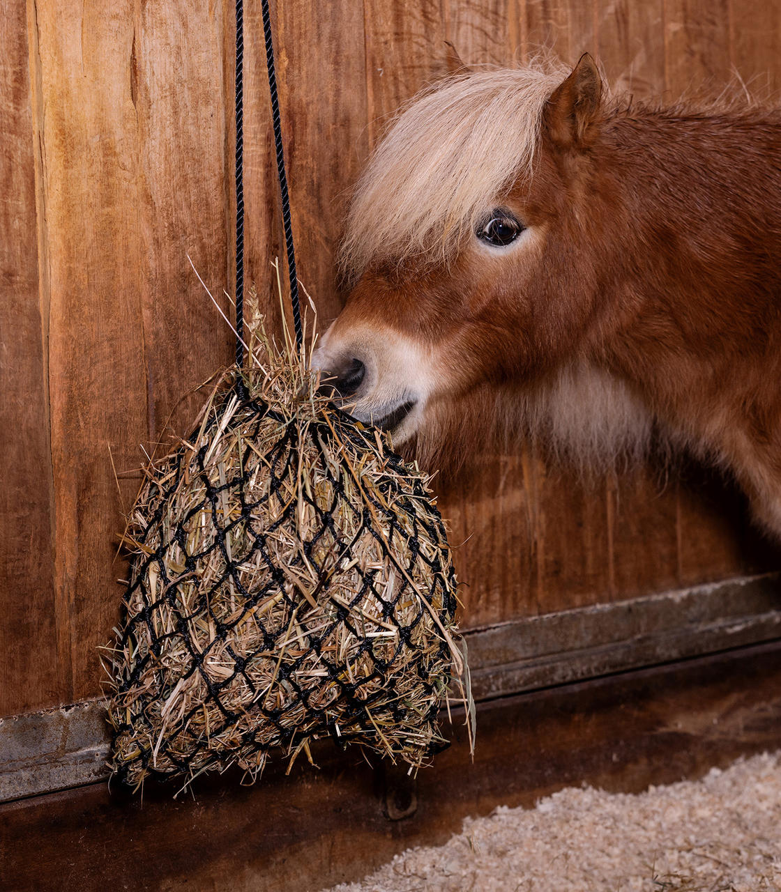 Waldhausen Shetty hay net SlowFeed