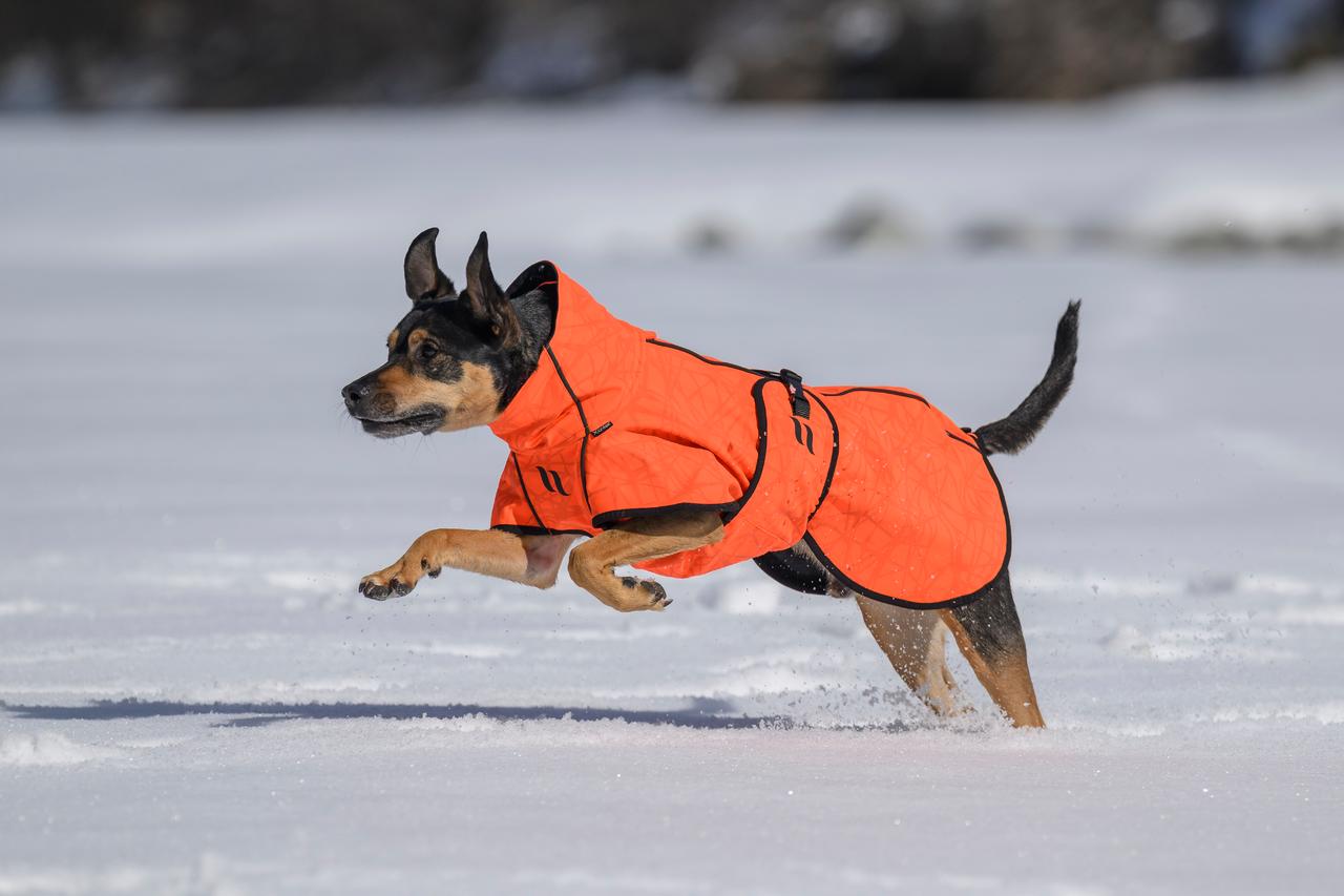 Back on Track Bark Allround Hundemantel