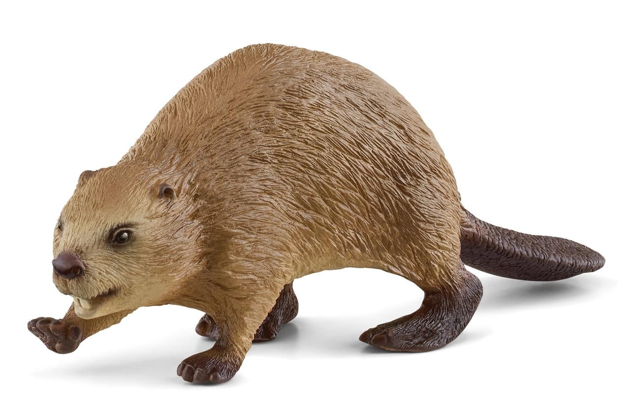 Schleich Castoro Schleich Castoro