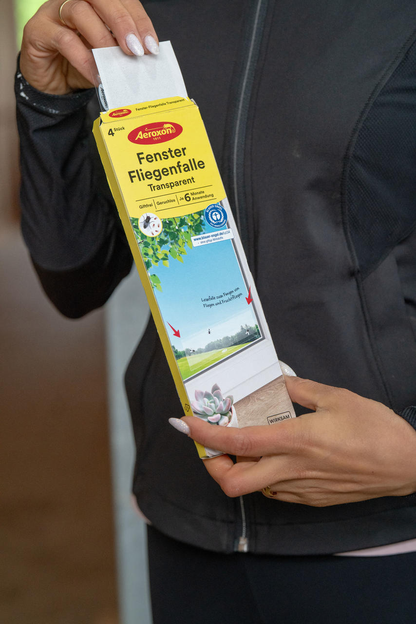 Aeroxon Fenster-Fliegenfalle Transparent