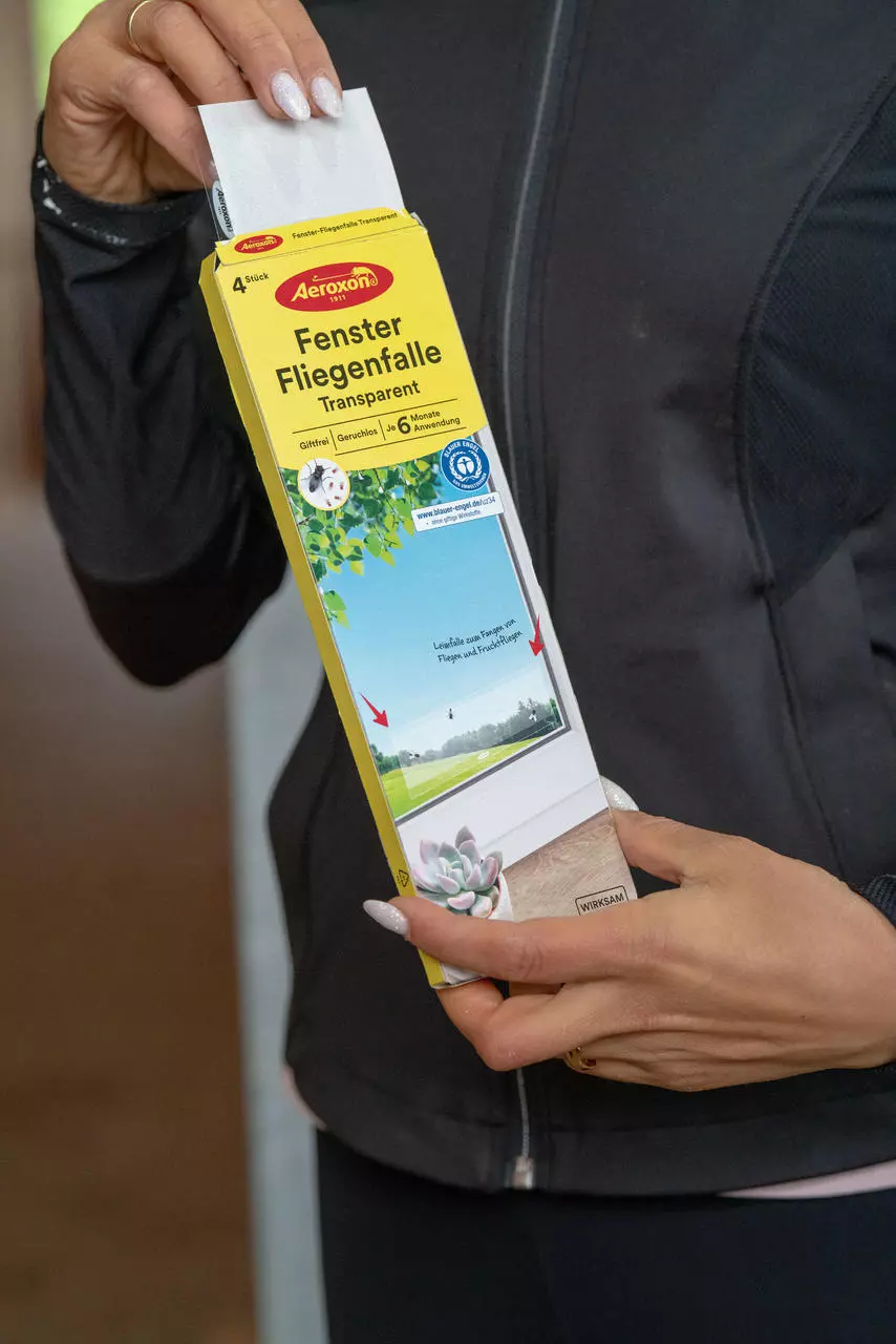 Aeroxon Fenster-Fliegenfalle Transparent