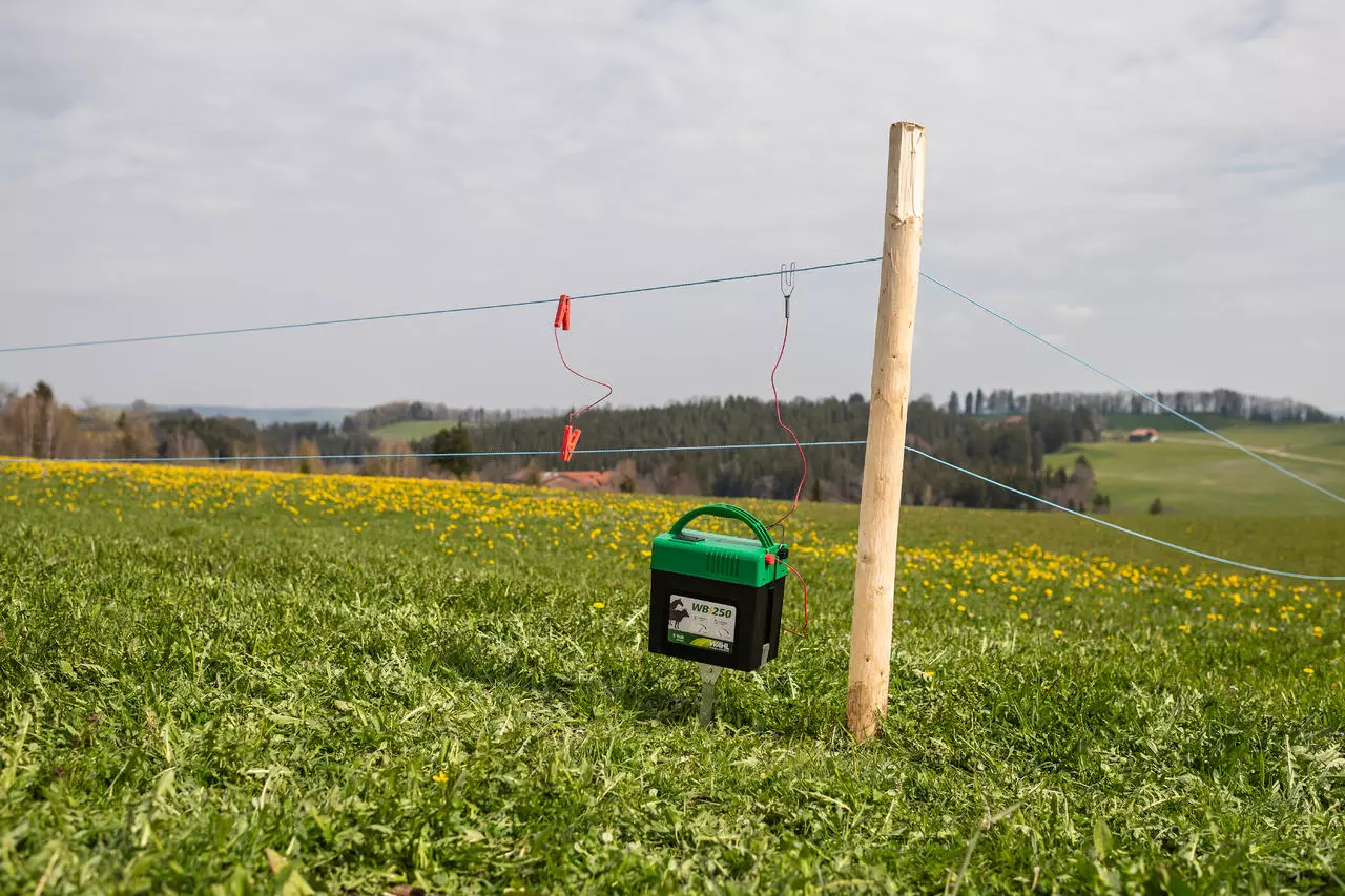 WAHL-FENCE WB 250 - 9 V-Batterie Weidezaungerät