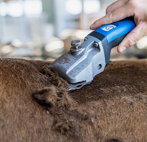 Startseite_Schermschinen