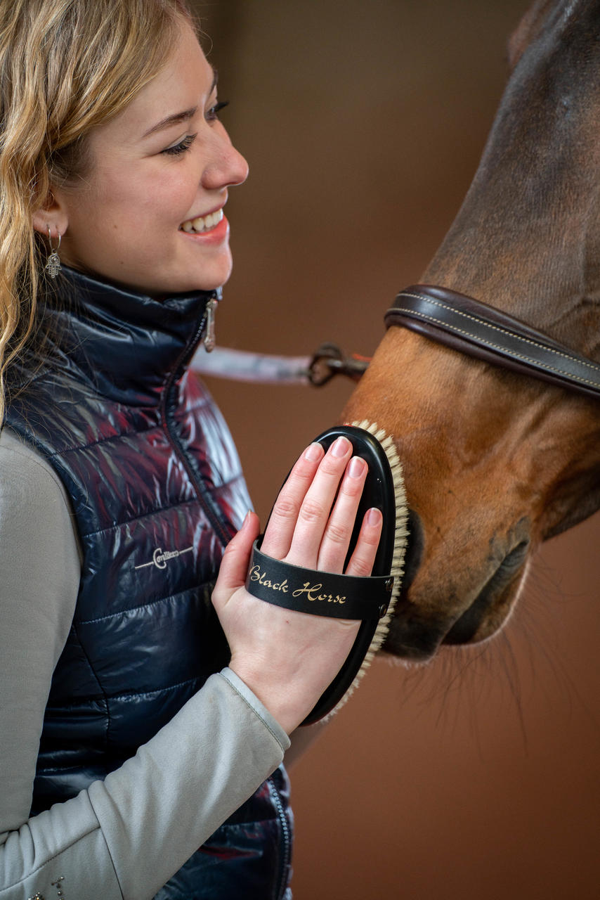 Leistner Spazzola Black Horse 214x96 mm