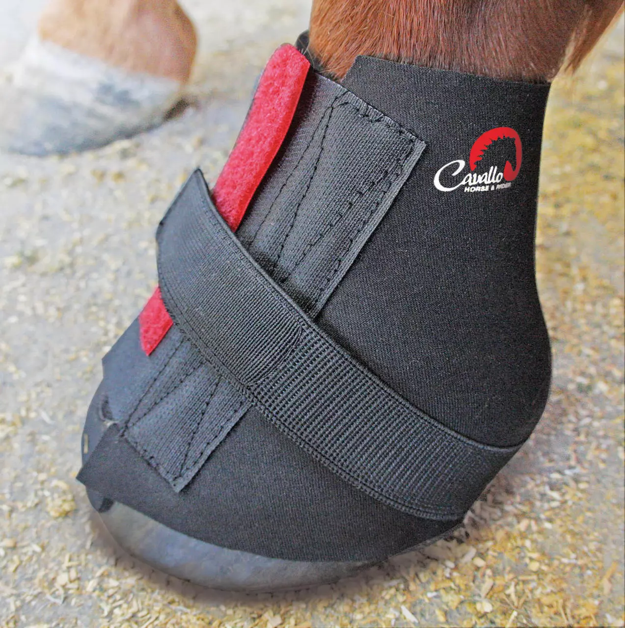 Cavallo Pastern Wrap Bandage Neopren