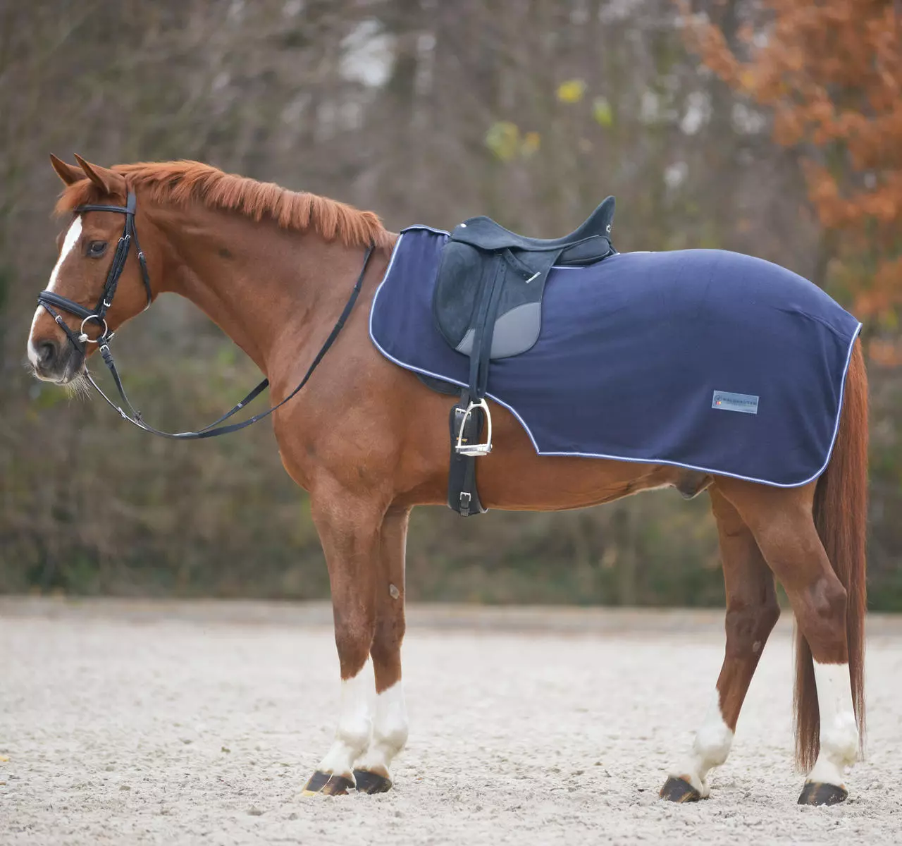 Waldhausen Fleece-Ausreitdecke Economic Waldhausen Fleece-Ausreitdecke Economic