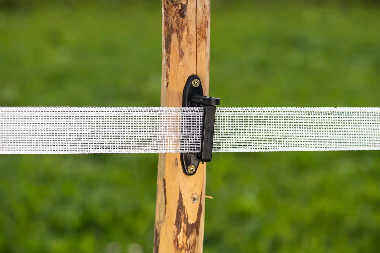 WAHL-FENCE Weidezaunband - BASIC - 40mm / 200m