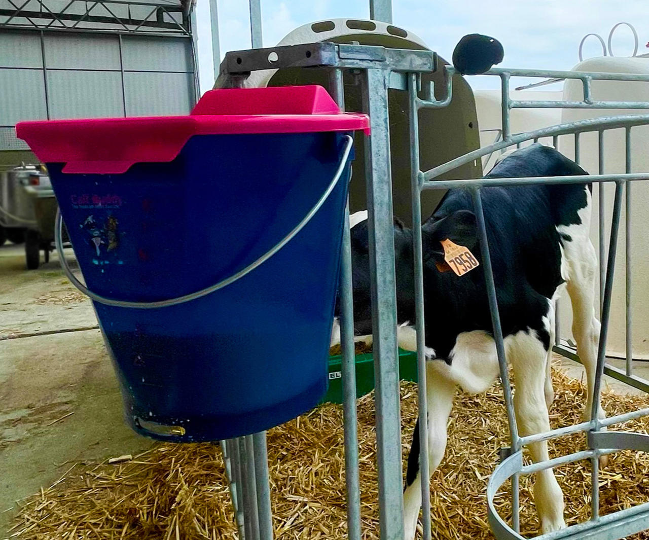 Hiko Deckel für Calf Buddy 1 Tränkeeimer