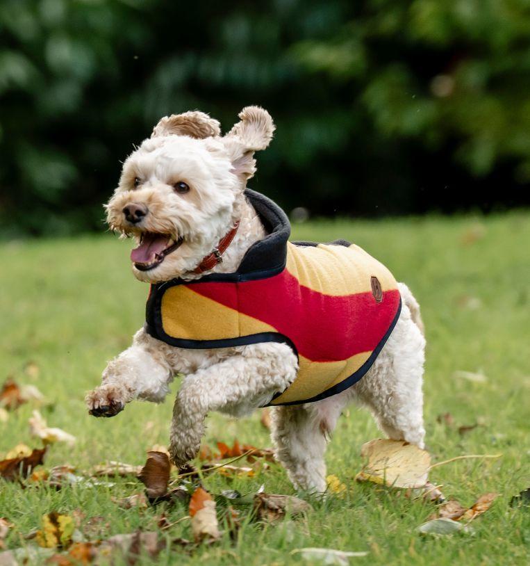 Horseware Newmarket Dog Fleece