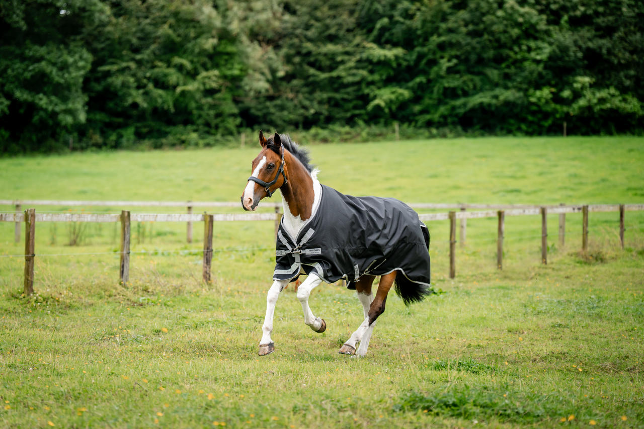 Horseware Amigo 1200D XL Turnout 150g Horseware Amigo 1200D XL Turnout 150g