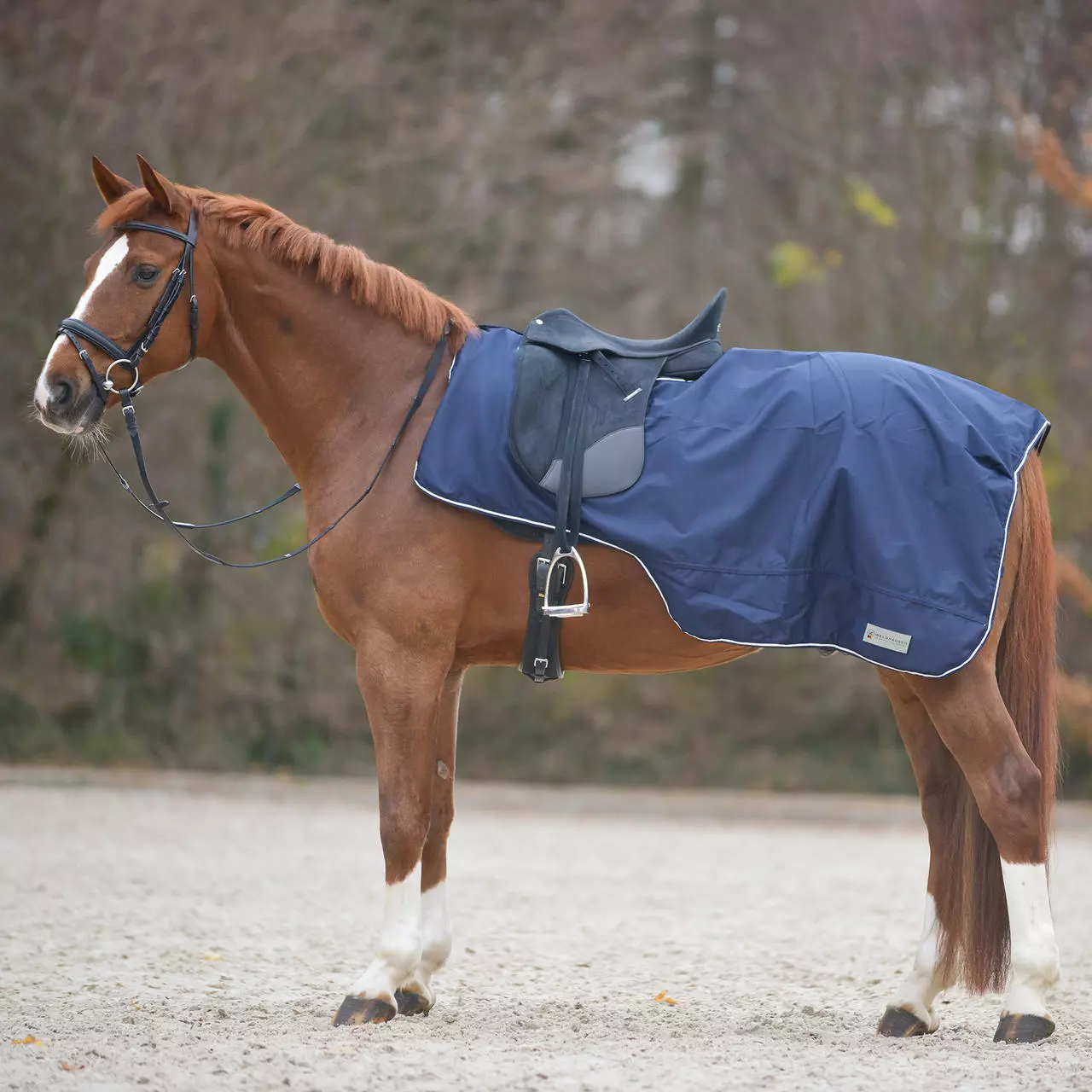 Waldhausen COMFORT Regendecke mit Sattelausschnitt Waldhausen COMFORT Regendecke mit Sattelausschnitt