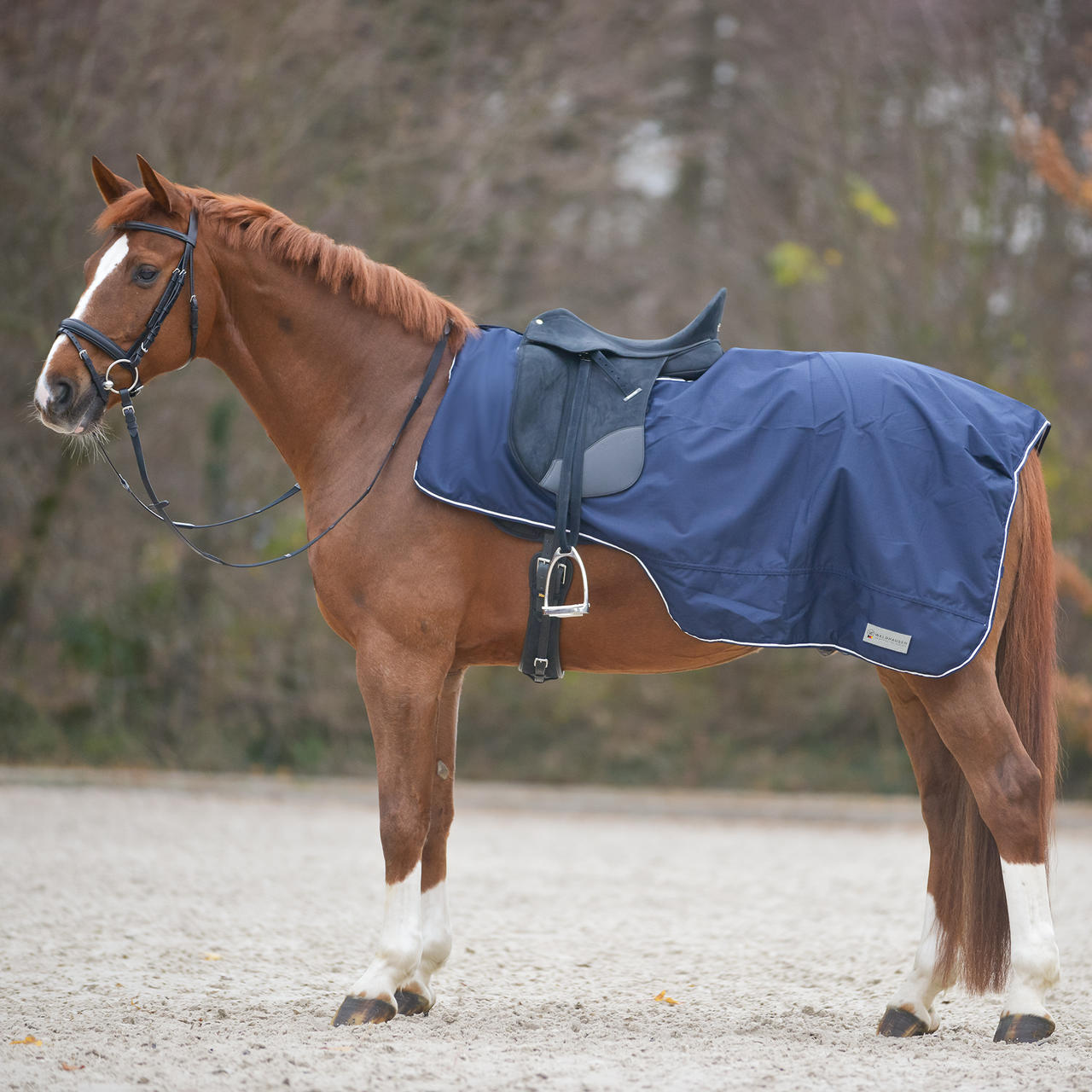 Waldhausen Coperta impermeabile Comfort con apertura per sella Waldhausen Coperta impermeabile Comfort con apertura per sella