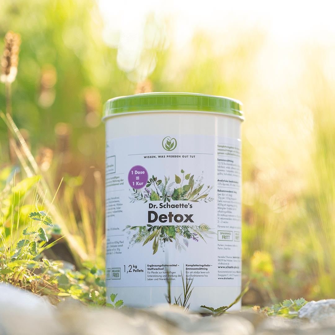 Dr. Schaette ´s Detox