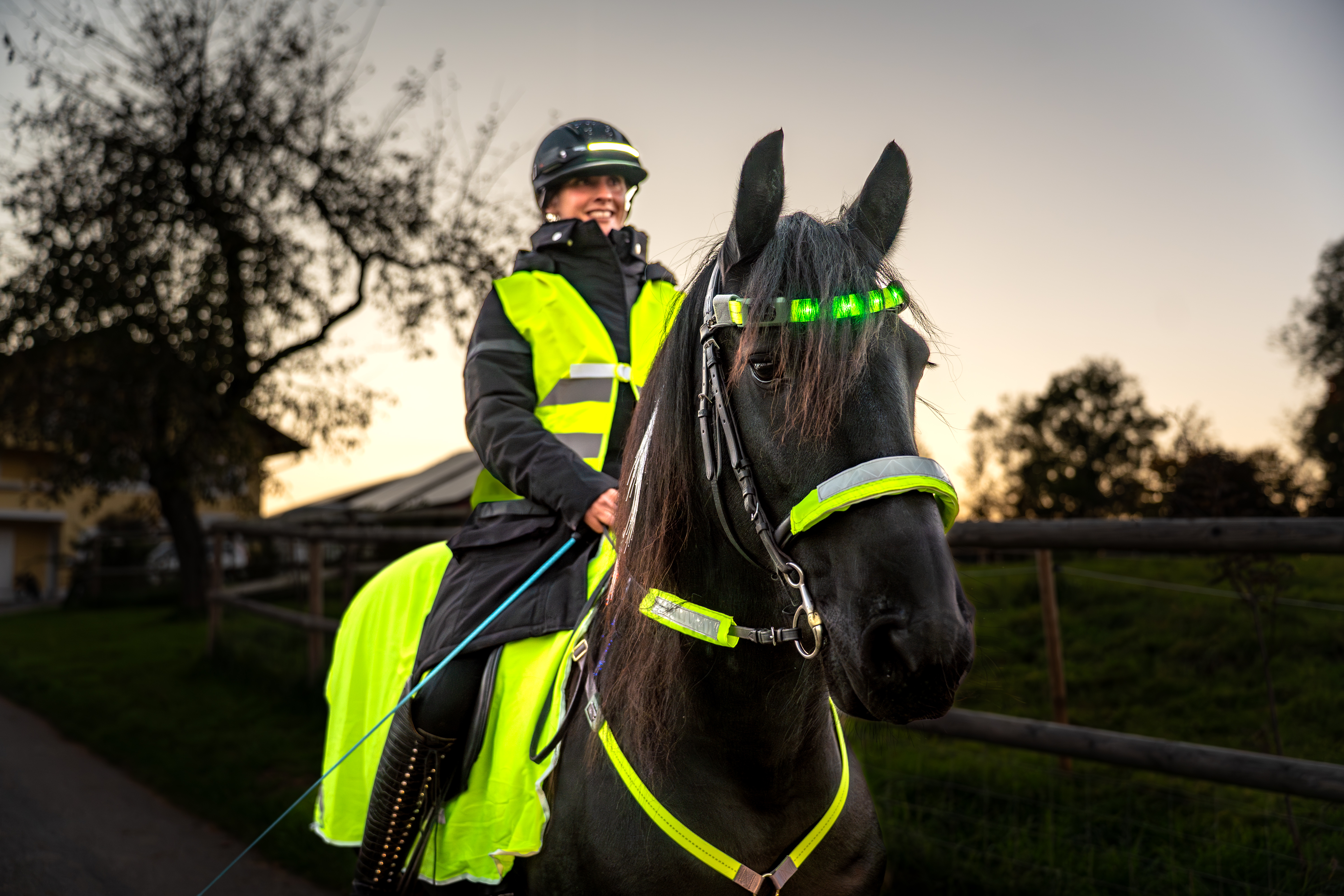 Sicurezza durante gli spostamenti: articoli riflettenti e visibilità per il cavallo e cavaliere Sicurezza durante gli spostamenti: articoli riflettenti e visibilità per il cavallo e cavaliere
