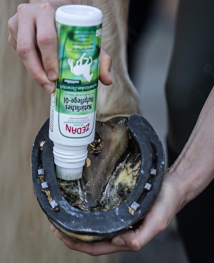 Zedan ® Natürliches Hufplege-Öl