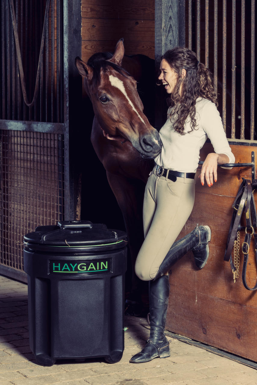 HAYGAIN HG One Hay Steamer