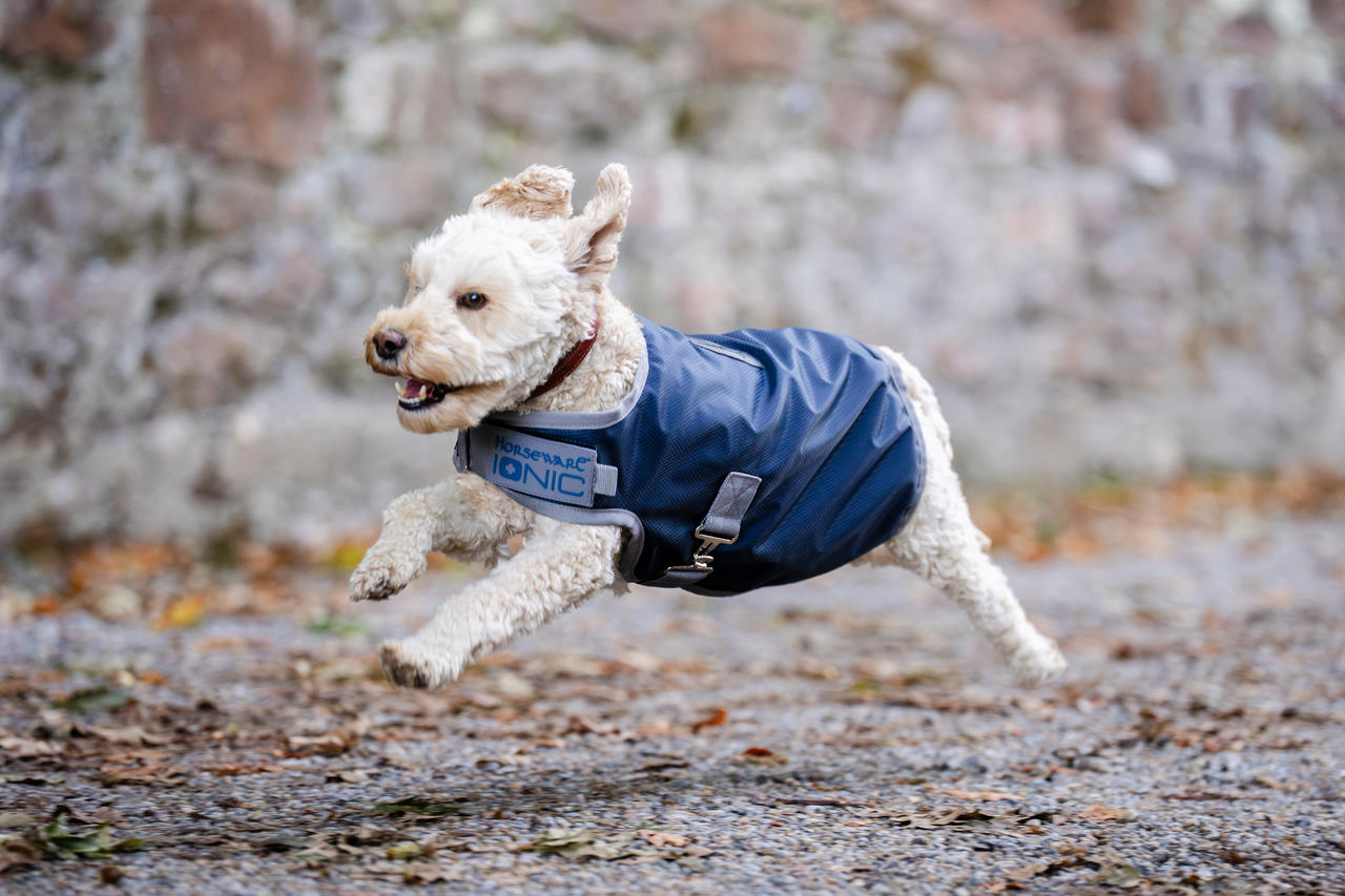 Horseware Ionic Therapy Dog Coat 50g