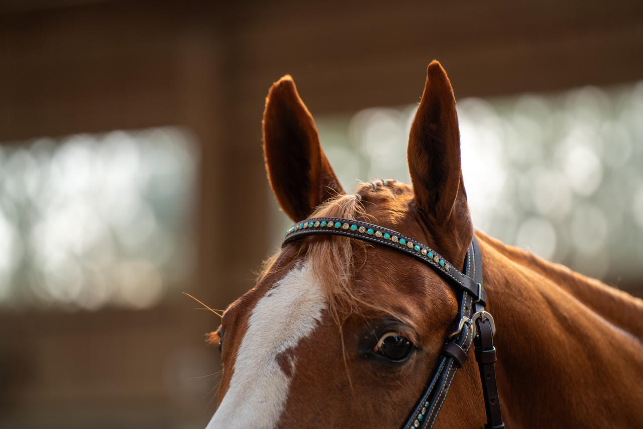 Briglia western snaffle Zuni