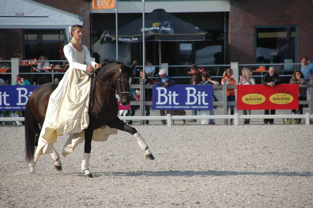 F.R.A. Gebissloser Zaum Alizee mistral