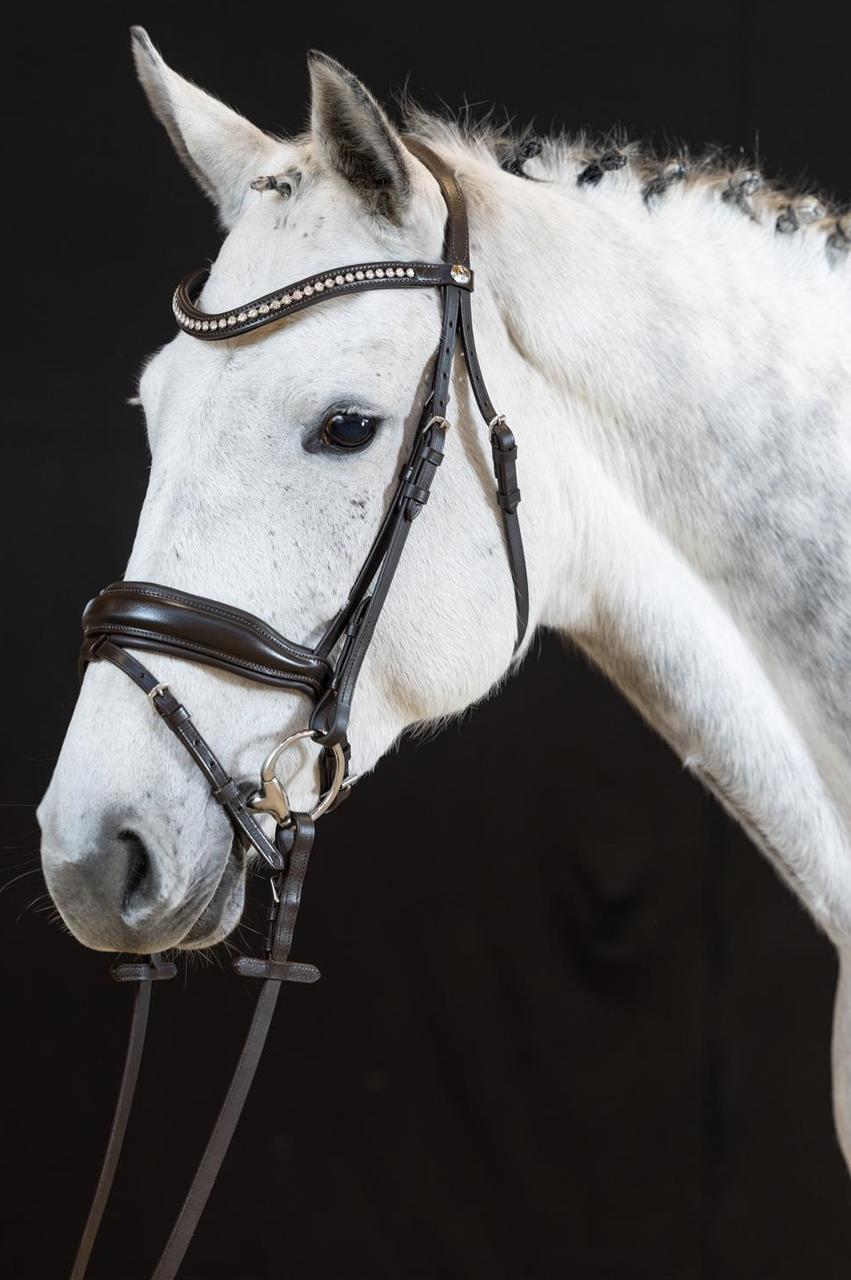 Hans Melzer Briglia Wiesbaden Comfort Inglese combinata.