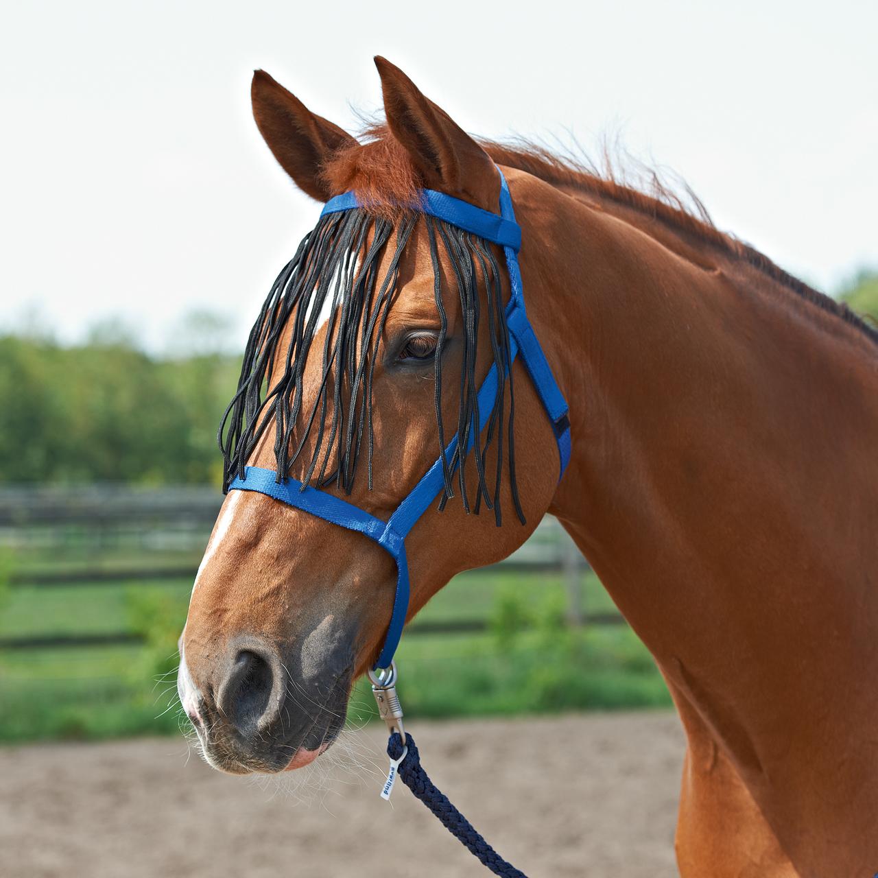 Busse Capezza da pascolo con frange Busse Capezza da pascolo con frange
