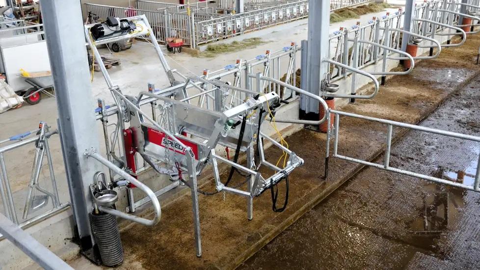 Rosensteiner Klauenpflegestand SPEED 5