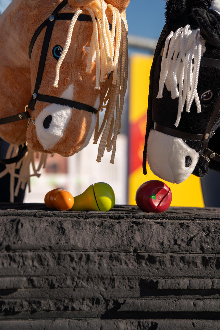 HKM Mangime in legno - Hobby Horsing