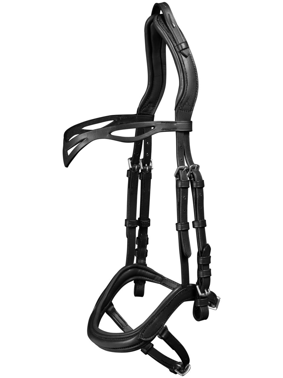 Waldhausen Briglia anatomica islandese Waldhausen Briglia anatomica islandese