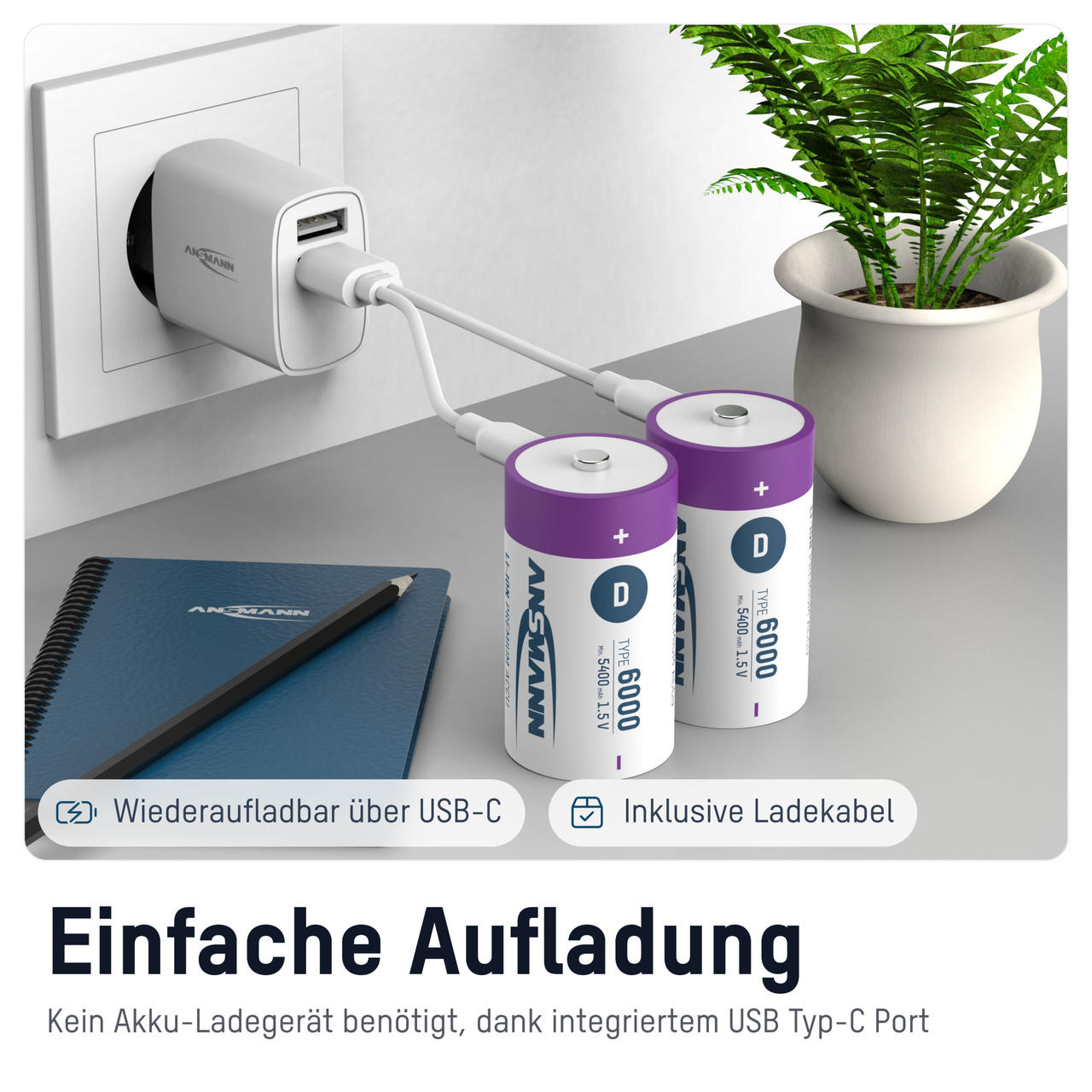 Ansmann Batterie agli ioni di litio – formato Mono D