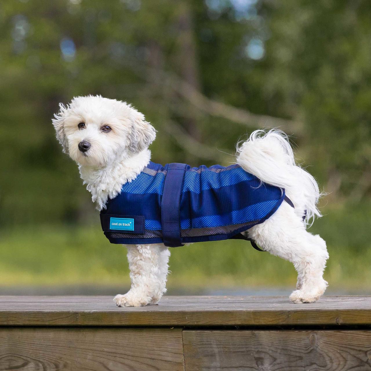 Cool on Track Cooling Hundemantel 2.0