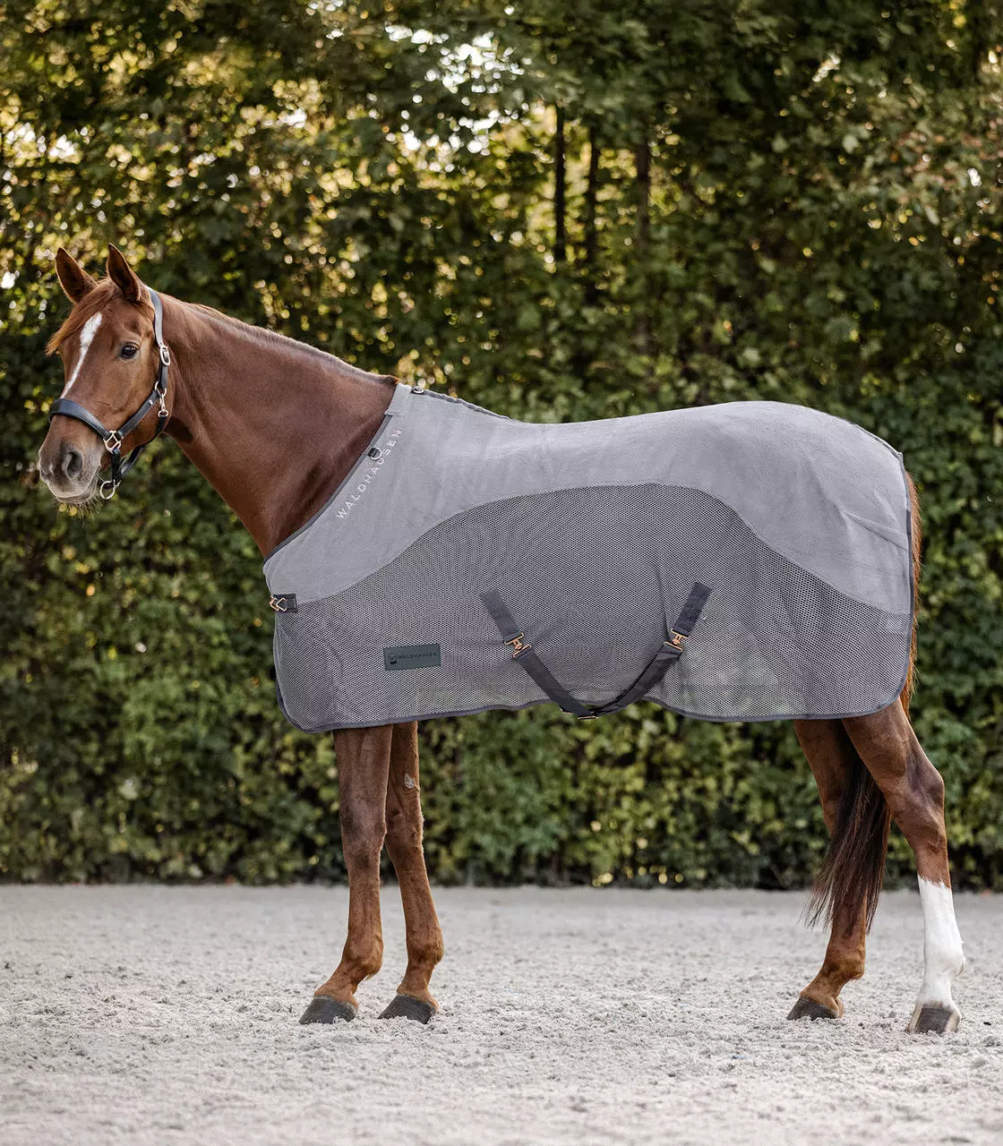 Waldhausen Comfort Fleece-Fliegendecke