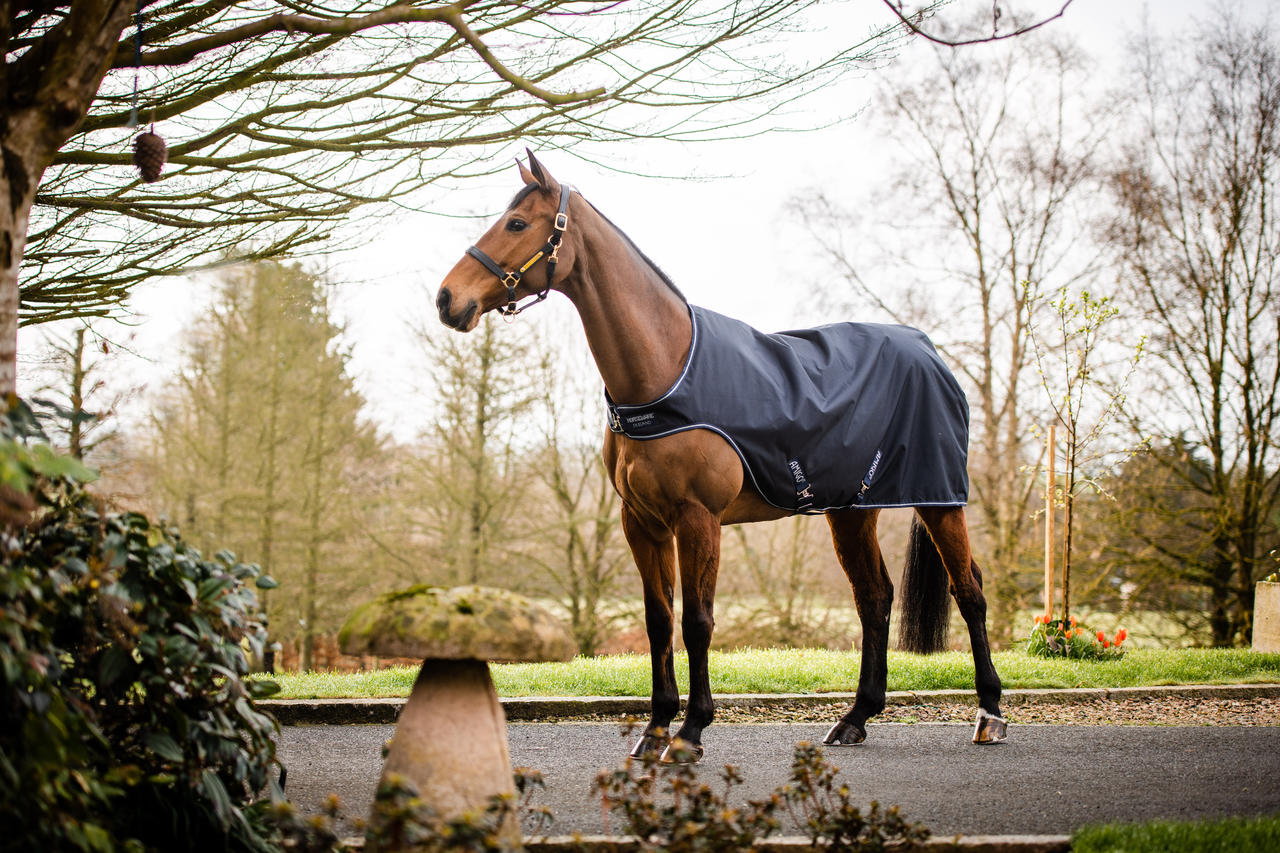 Horseware Coperta Amigo Walker 100 g
