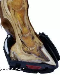 Cavallo Hufschuhe Simple Regular