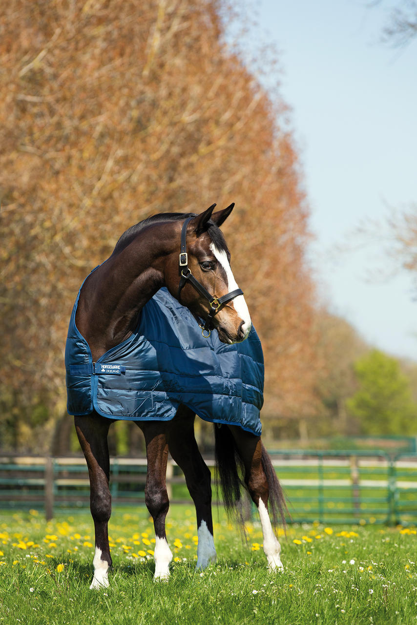 Horseware Sottocoperta Liner 100g Horseware Sottocoperta Liner 100g