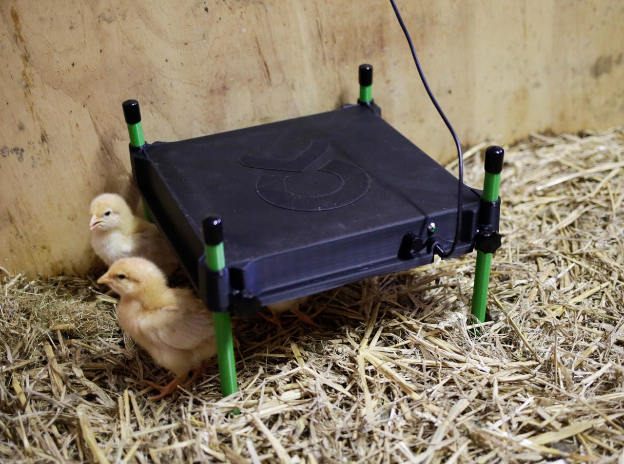 Kerbl Plaque chauffante CosyHeat pour poussins - 50W