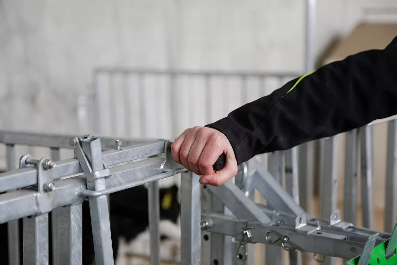 Kerbl Fanggitter 7 Plätze für Zaunaufstallung