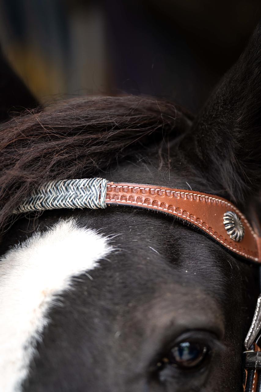 XL-Westerntrenszaum Rawhide Braided