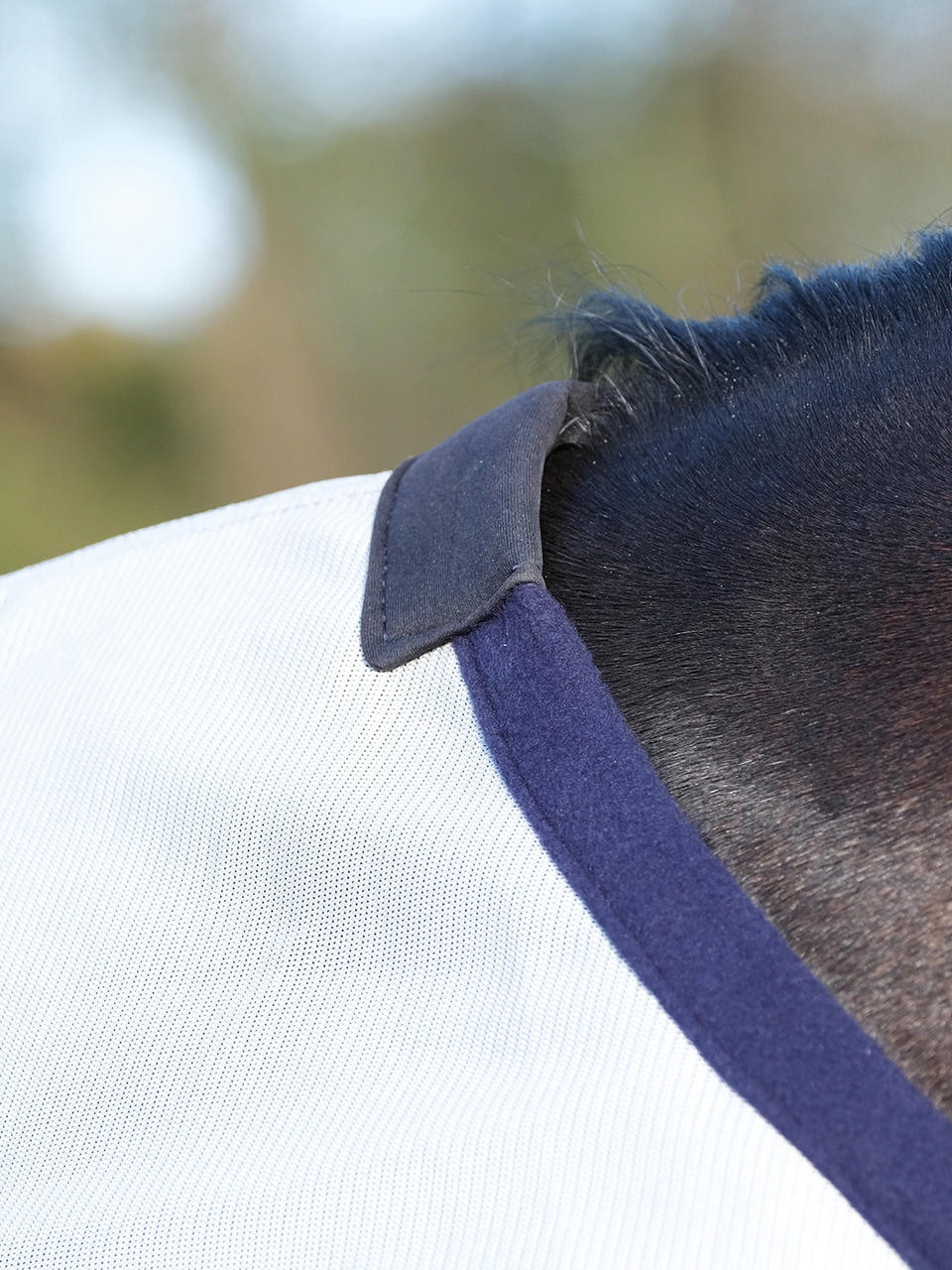 Busse Coperta da monta FLY COMFORT