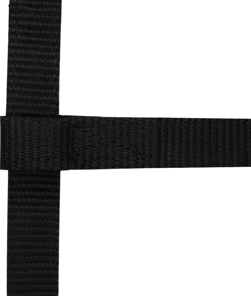 Ekkia Ponyfohlenhalfter