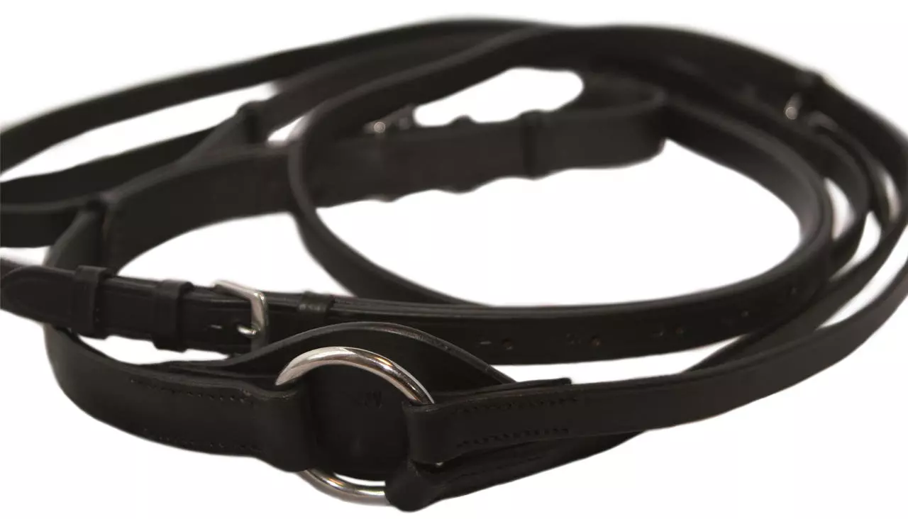 Hans Melzer Dreieckszügel