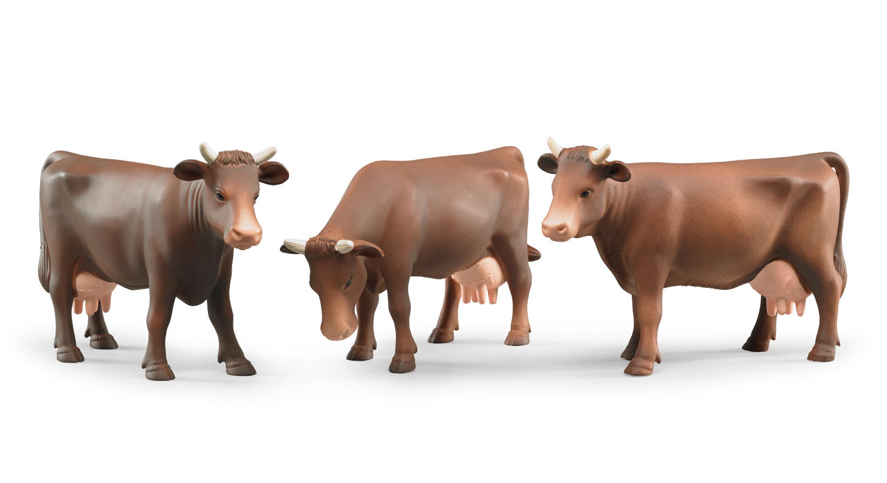Bruder Mucca con diverse posizioni della testa Bruder Mucca con diverse posizioni della testa