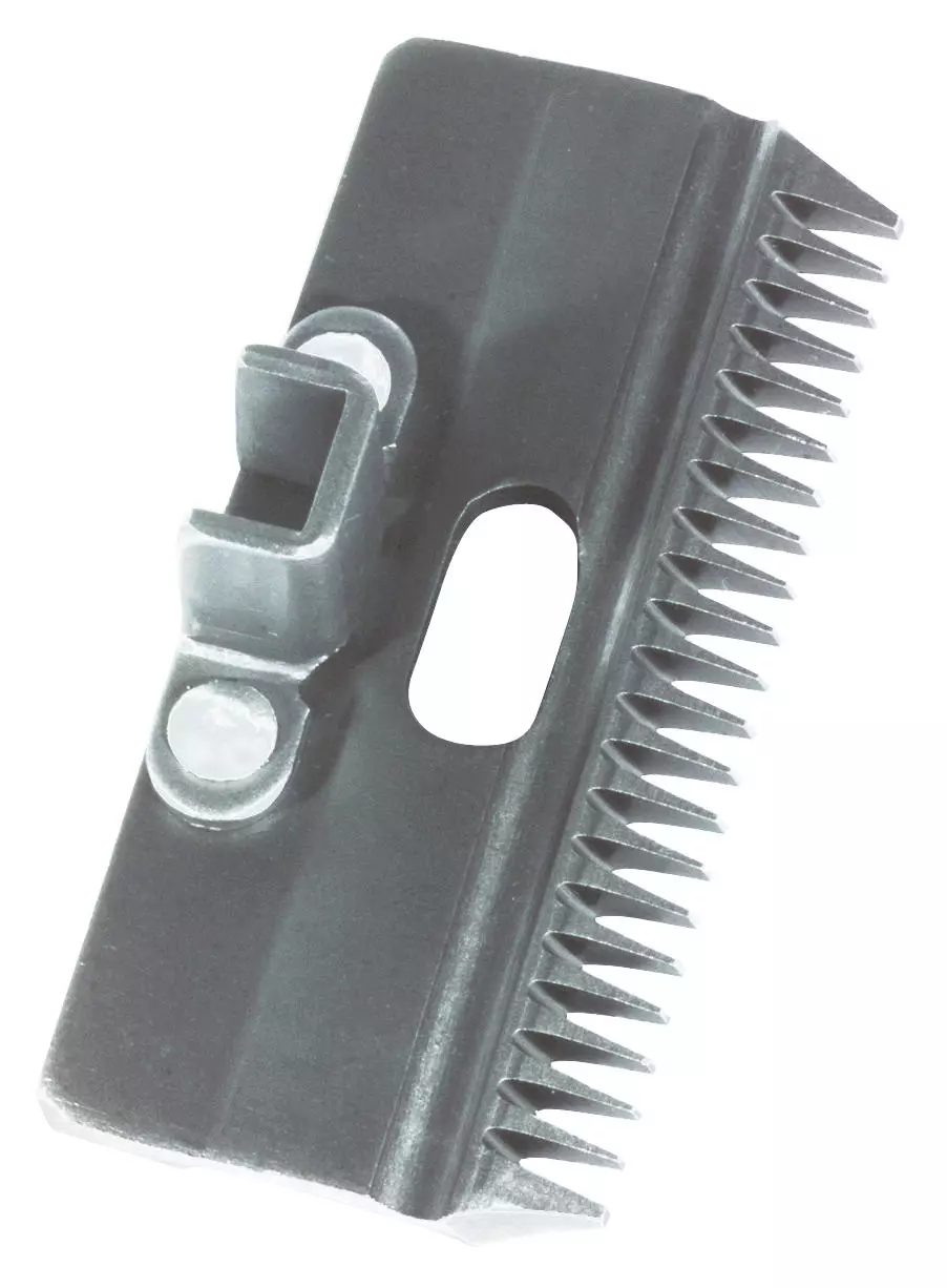Tandheelkunde paard | Equine Dental & Veterinary Care