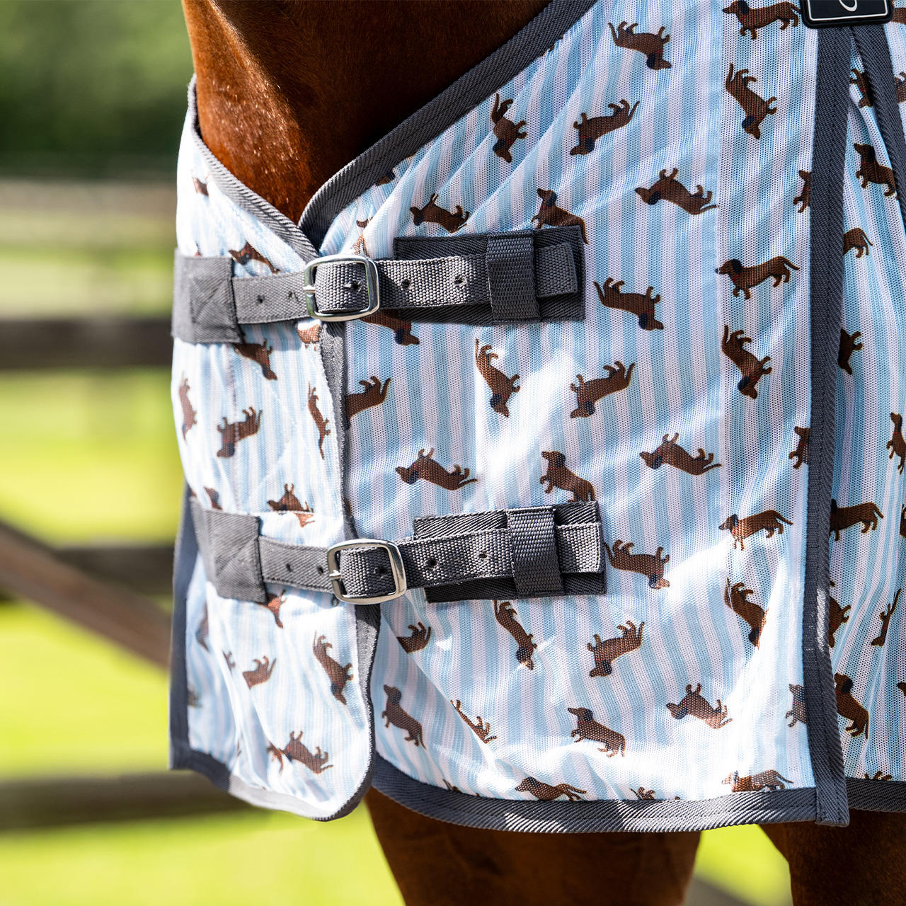 QHP Coperta antimosche Stable Buddy